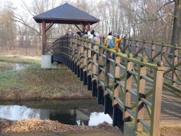 Spacer po Sieradzu w ramach Zimowego Ptakoliczenia 2025, 